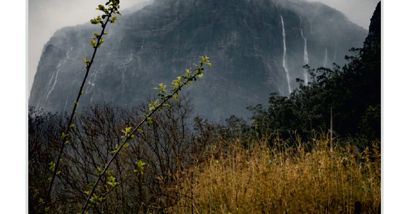 Conheça as fotos selecionadas para o Concurso de Fotografia Digital ‘Paisagens da Madeira’