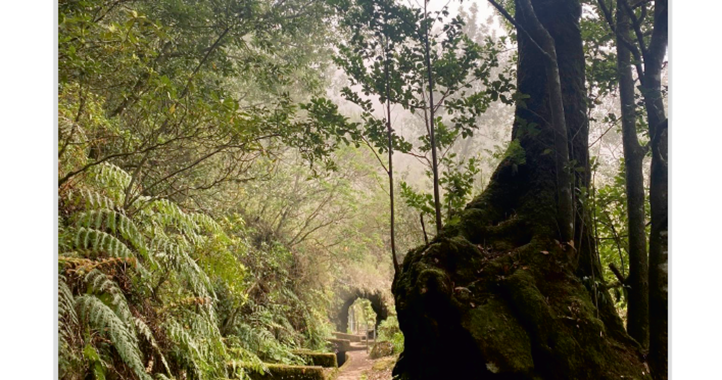 Conheça as fotos selecionadas para o Concurso de Fotografia Digital ‘Paisagens da Madeira’