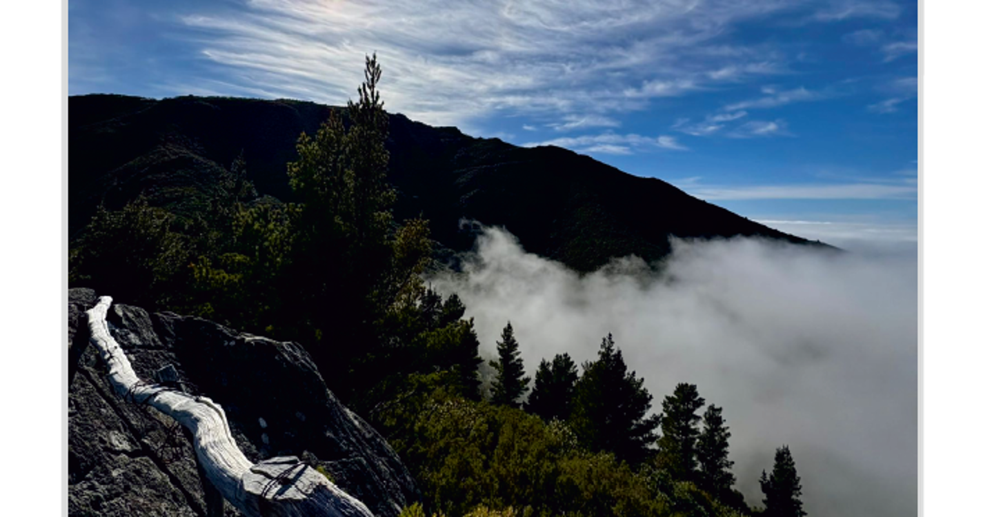 Conheça as fotos selecionadas para o Concurso de Fotografia Digital ‘Paisagens da Madeira’