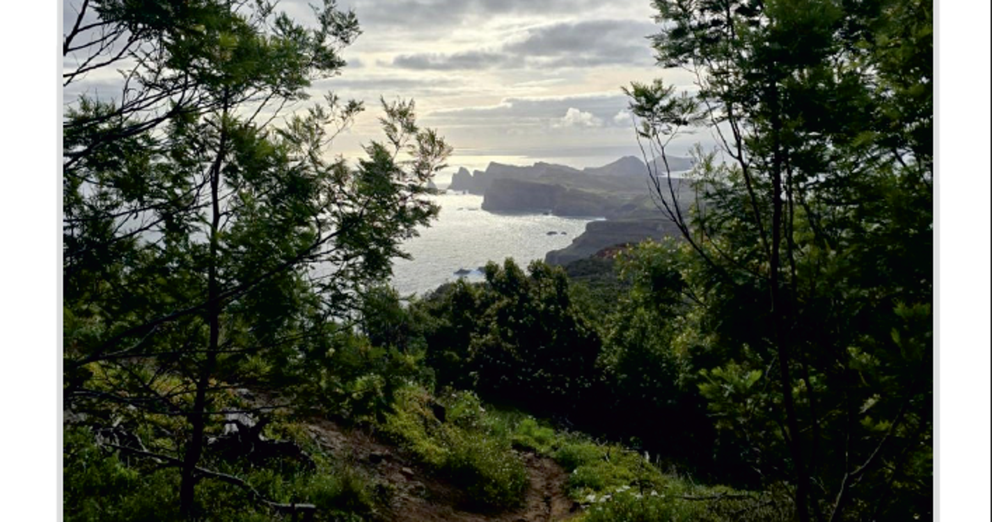 Conheça as fotos selecionadas para o Concurso de Fotografia Digital ‘Paisagens da Madeira’