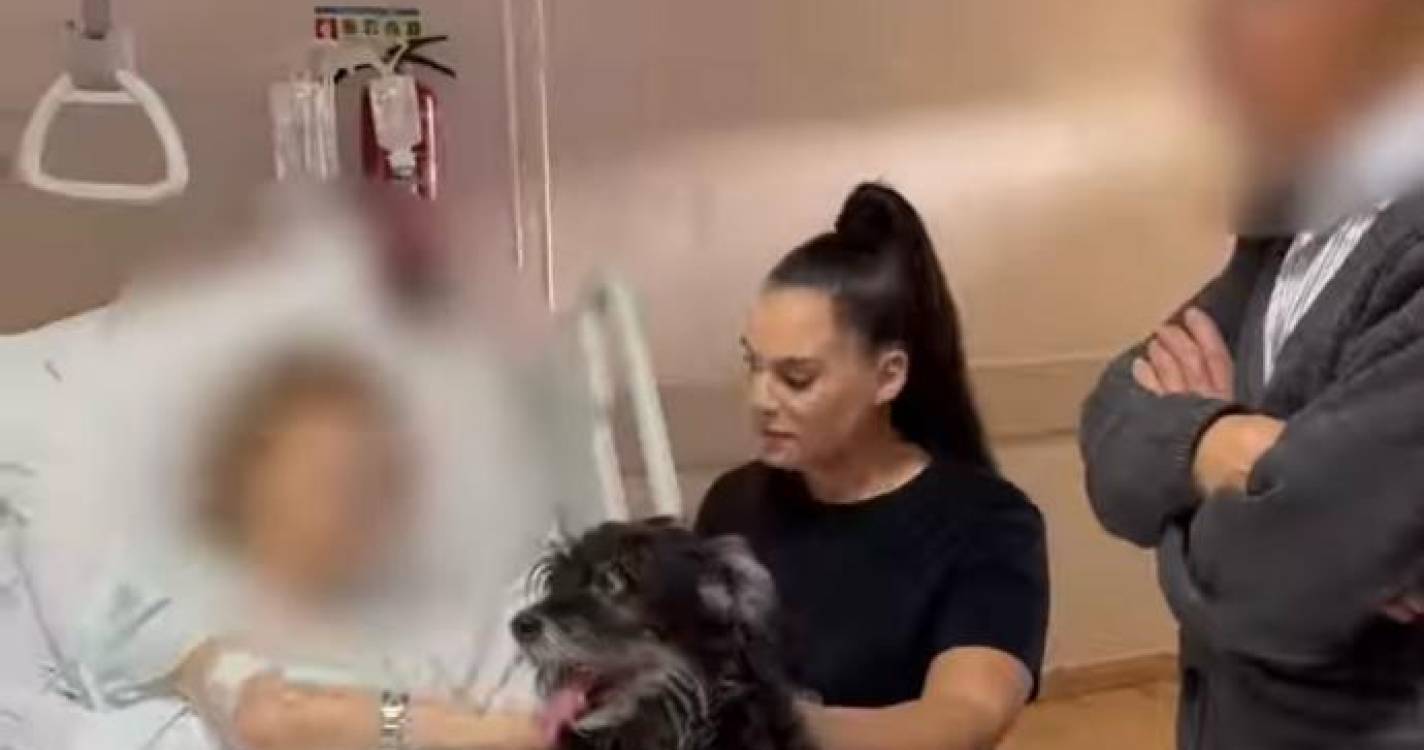Cão faz uma última visita a dona internada em estado terminal (com vídeo)