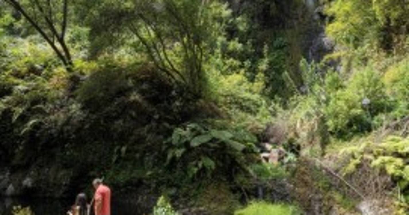Poço e cascata em pleno coração de São Roque do Faial por descobrir (com fotos)