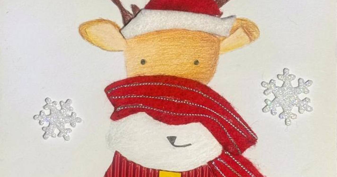 EB1/PE do Covão e Vargem e Externato Adventista do Funchal vencem concurso ‘O Meu Postal de Natal’