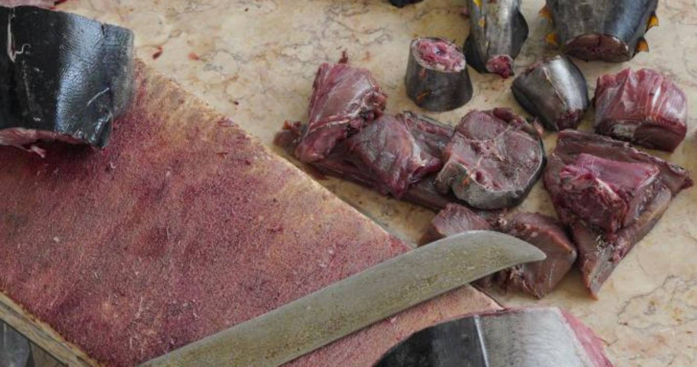 Pesca de atum durante mais tempo na Madeira