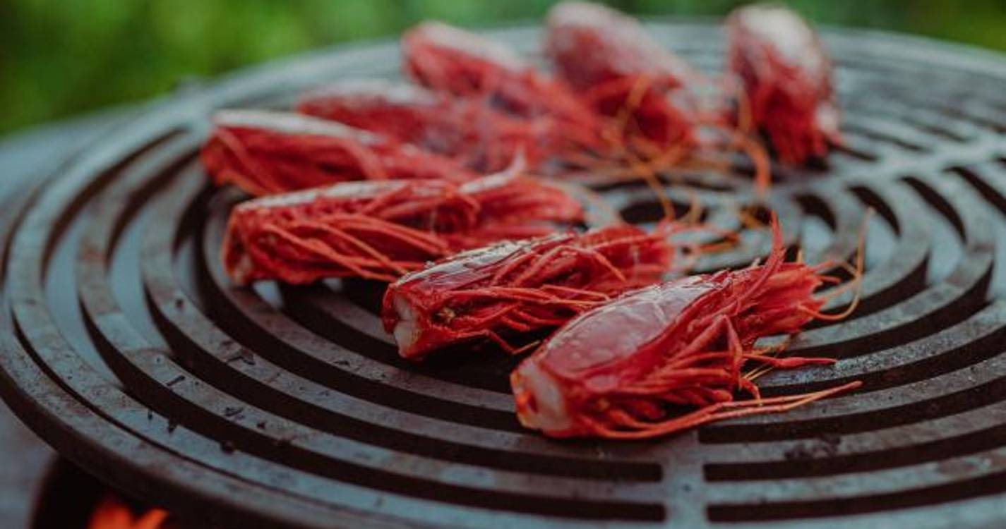 Saccharum estreia-se com Fire Pit no Calhau Beach Club