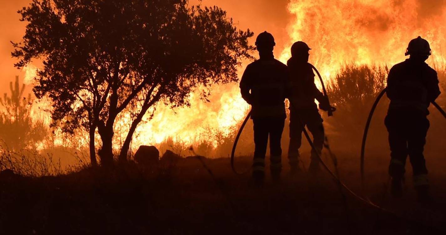 Incêndios: Rede cidadã junta Portugal e Espanha em novo protesto em setembro pela floresta