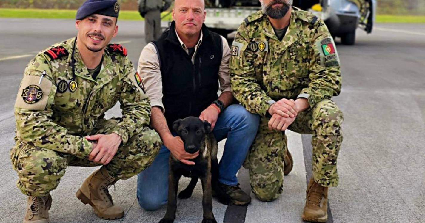 Corpo de Fuzileiros da Marinha recruta cadela vinda da Madeira
