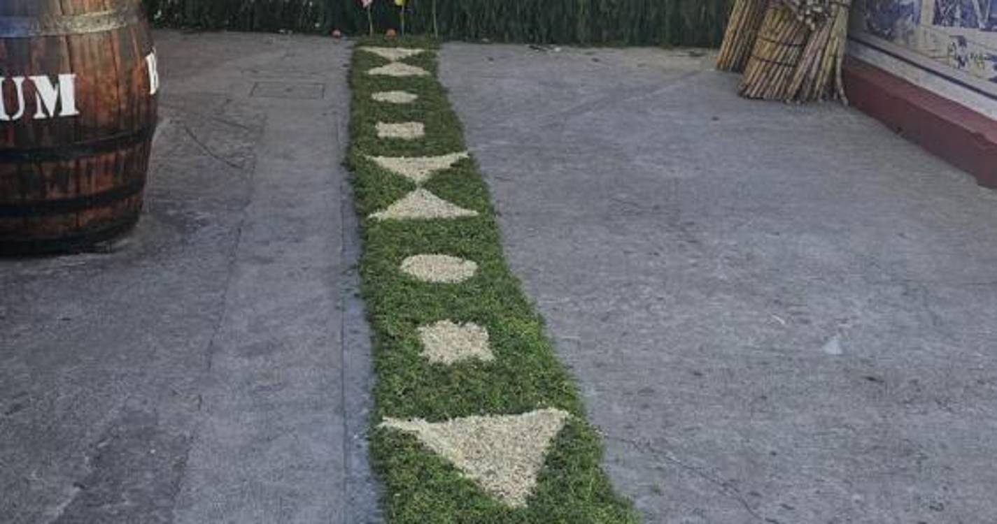 Veja o Muro da Esperança construído por alunos no Engenho do Porto da Cruz (com fotos)