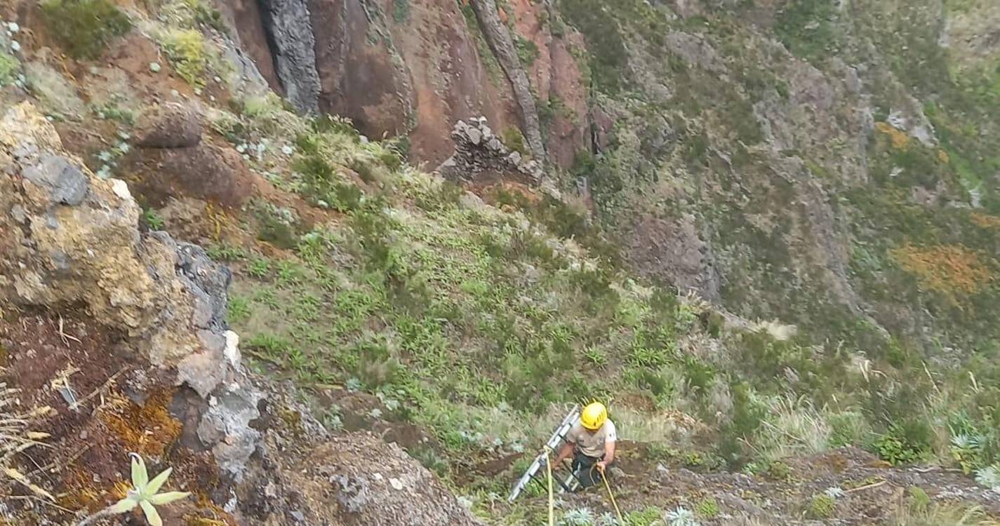 Instituto de Florestas da Madeira denuncia vandalismo no Pico do Areeiro