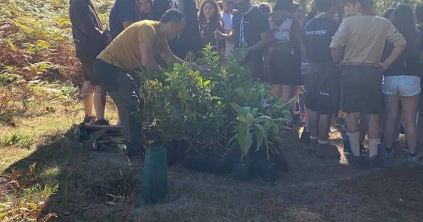 Secretaria de Agricultura associa-se à Associação de Escoteiros de Portugal no Jota-Joti