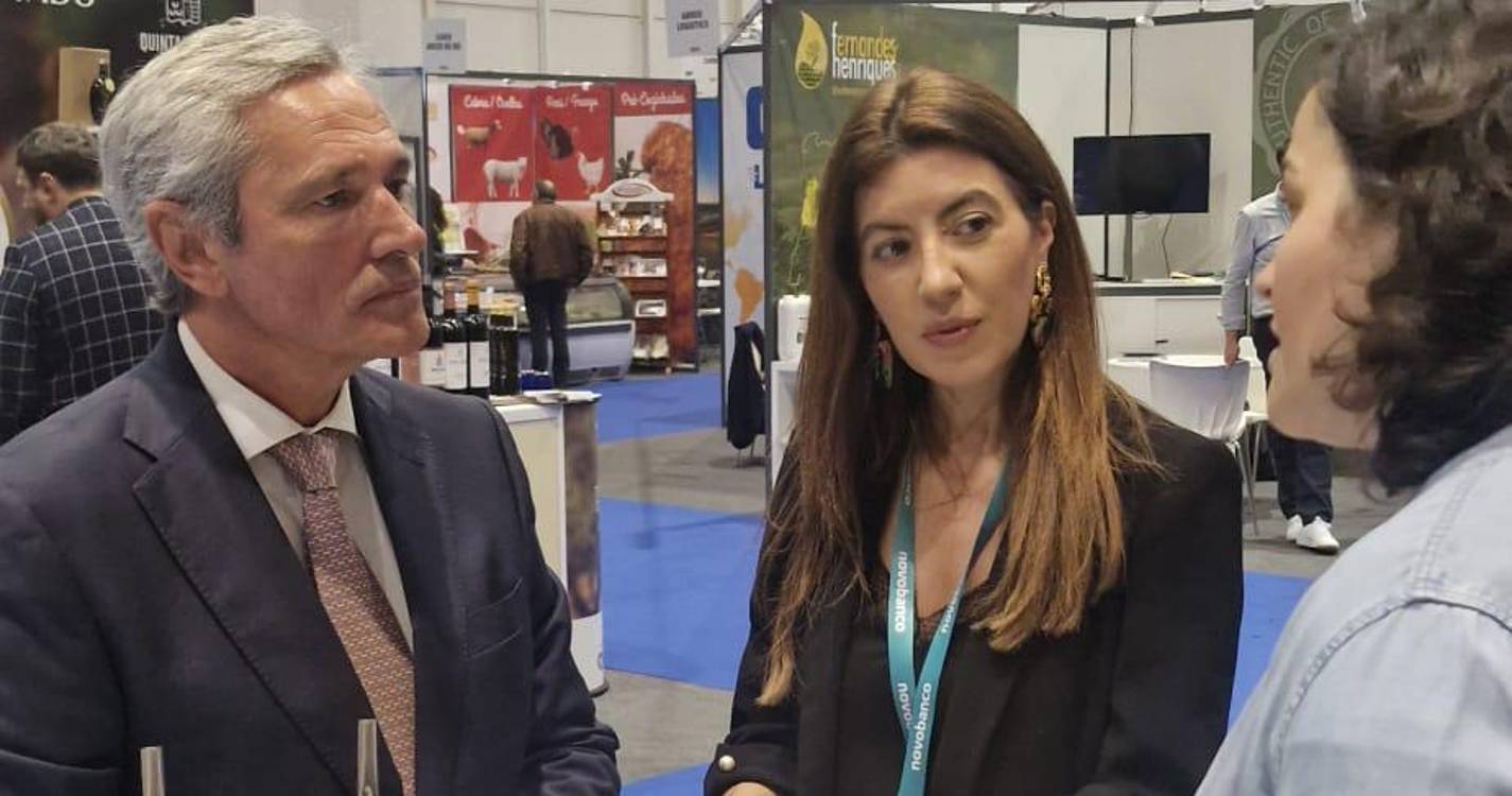 Empresas madeirenses fazem balanço positivo à participação na Sagal Expo