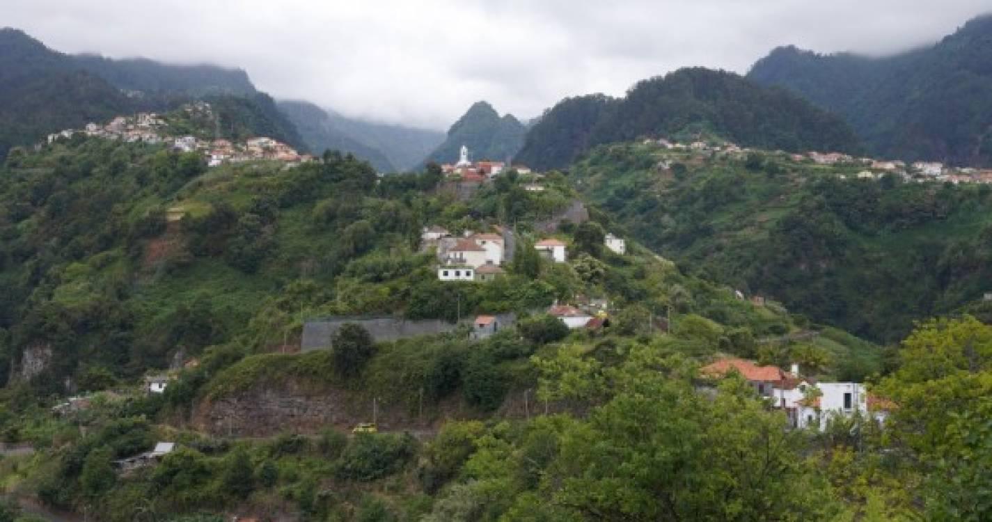 Queda de árvores nas Cruzinhas e Fajã da Nogueira esta manhã