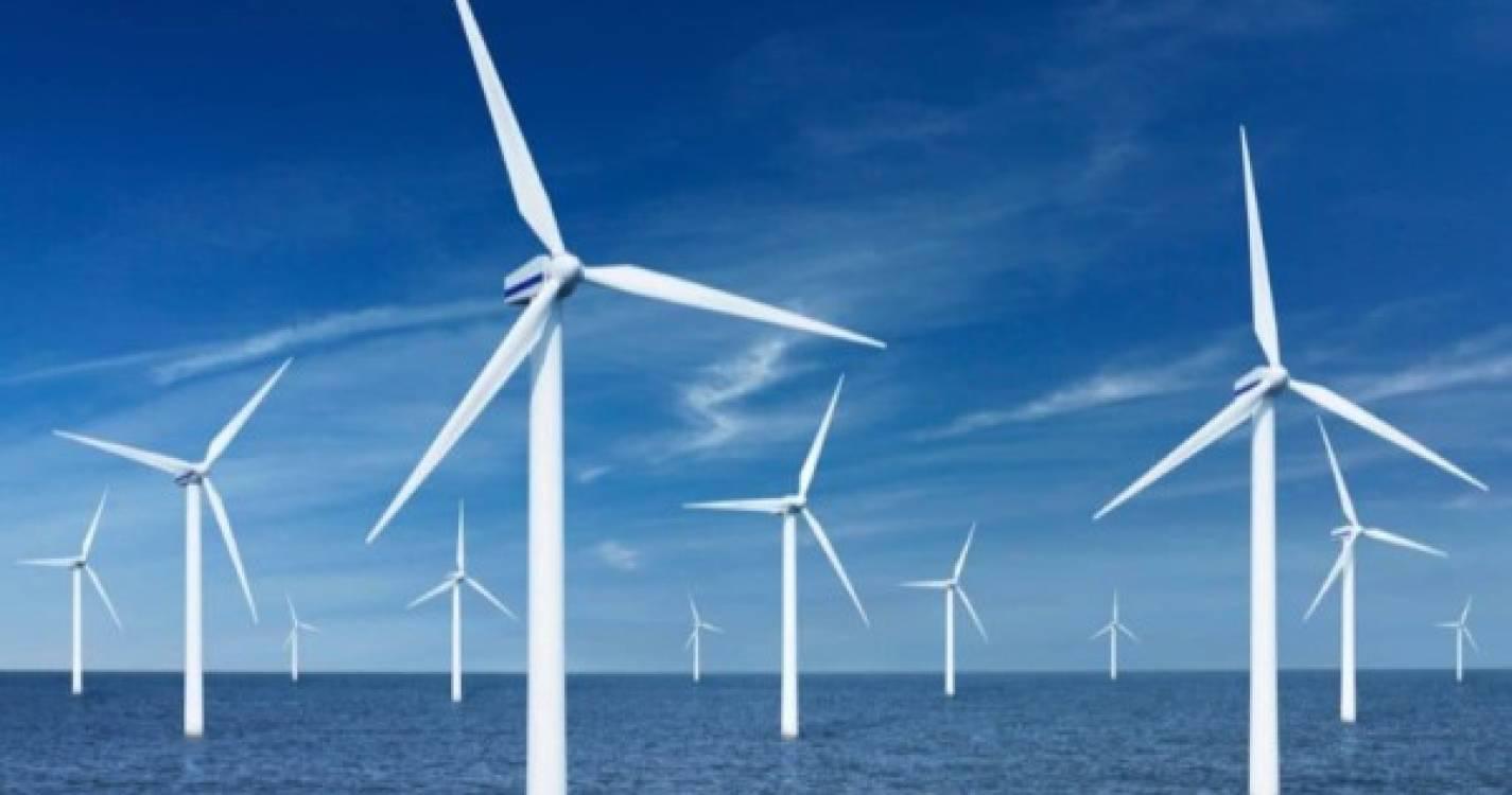 Mundo aumenta energia limpa e 2023 foi ano recorde para instalações eólicas