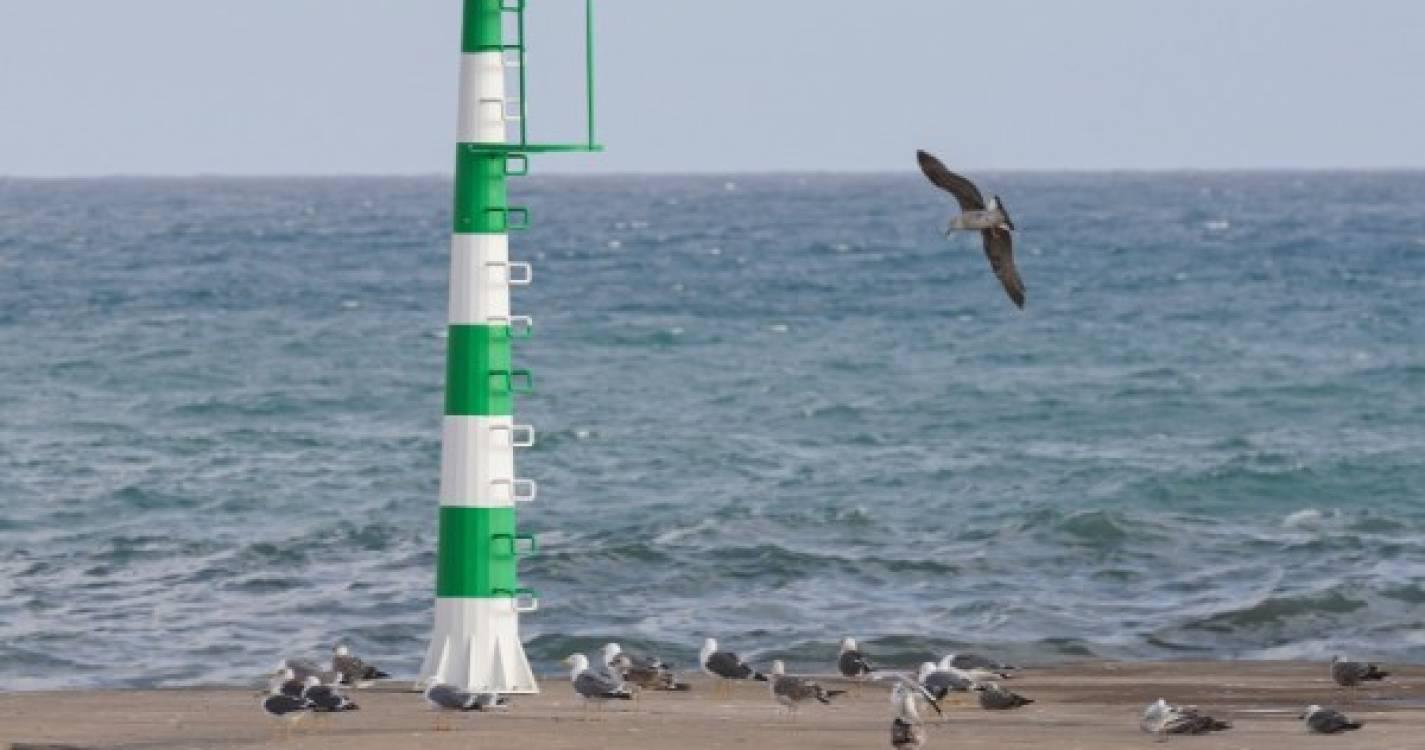 Capitania do Funchal emite aviso de vento e agitação marítima forte para a Madeira