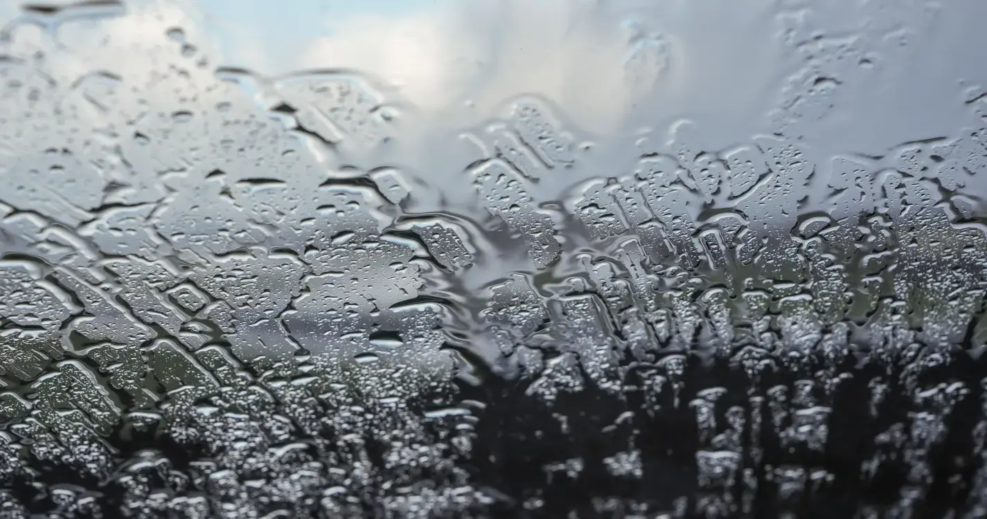 Primeiro dia do ano com chuva, vento e ondulação fortes