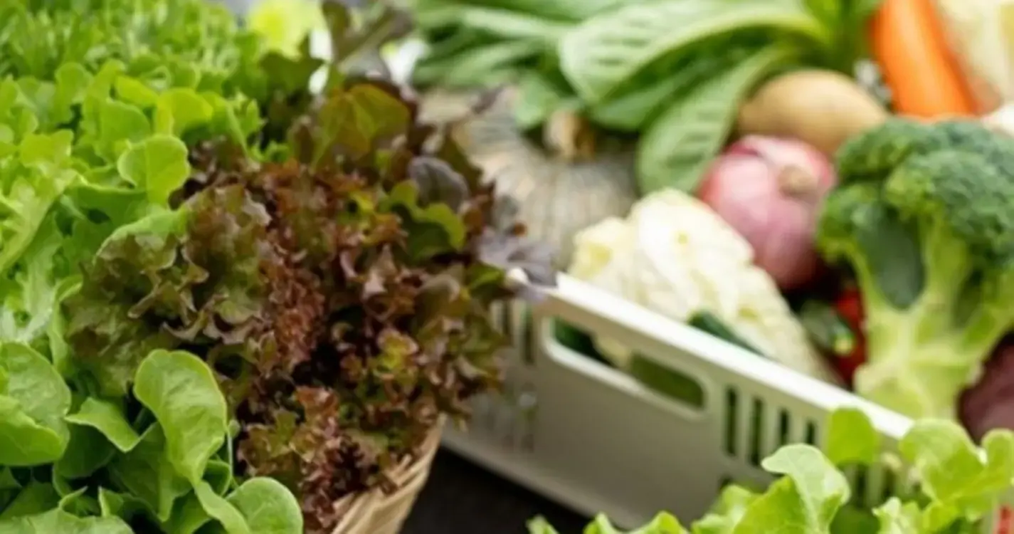 A maior parte do desperdício alimentar em Portugal é produzido pelas famílias