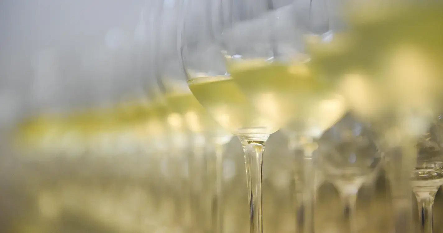 Veja como foi o ‘Pérola Wine Fest’