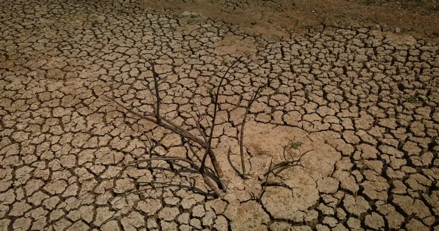 Solos superficiais guardam 45% mais carbono do que o estimado