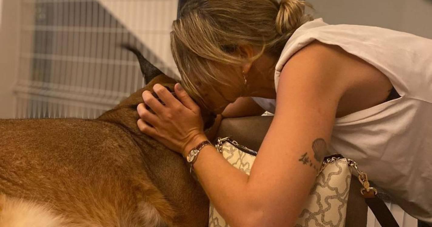 PTP diz que a Região “falhou” no caso do lince