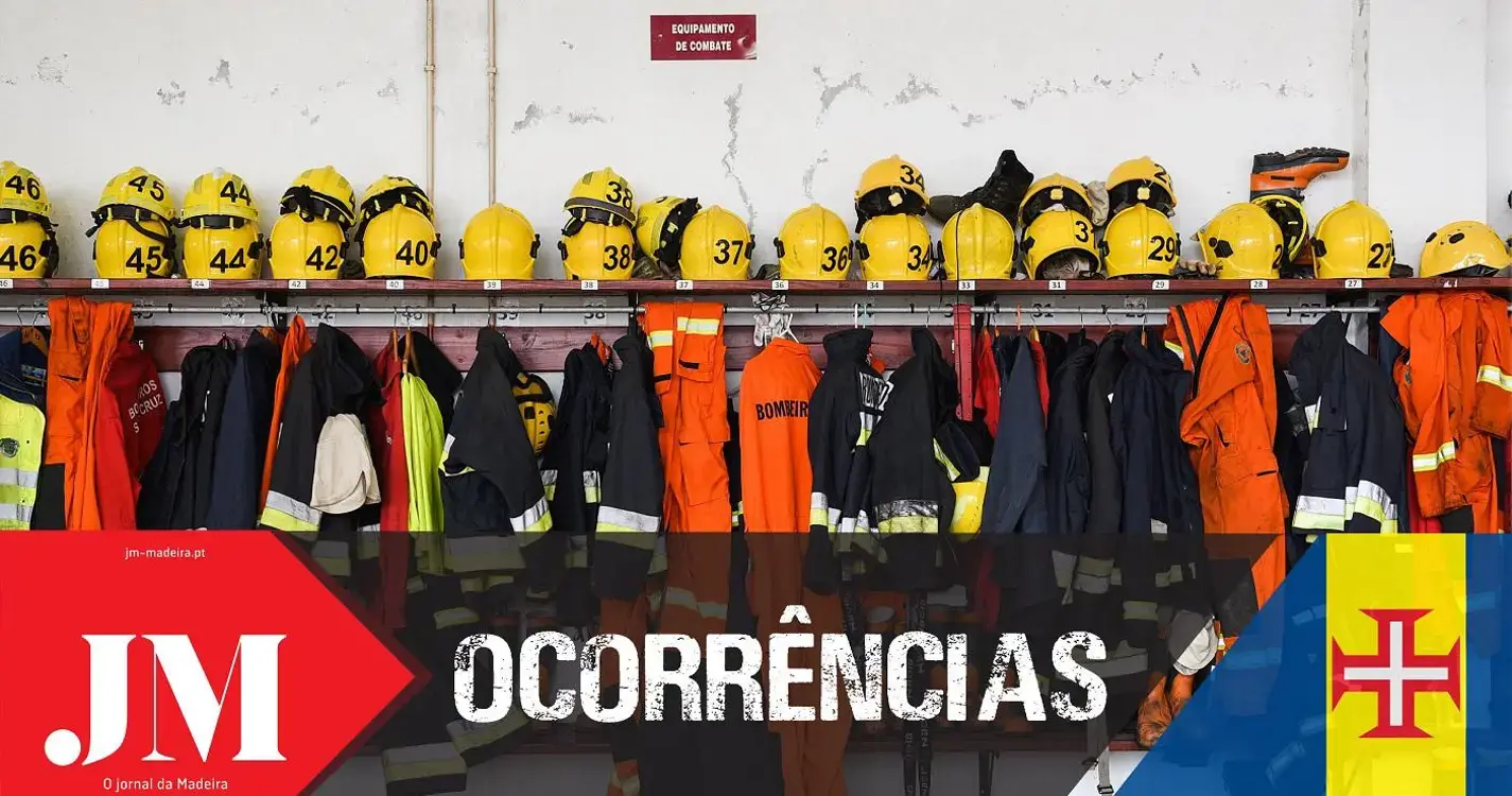 Queda de árvore mobiliza bombeiros para a Fundoa