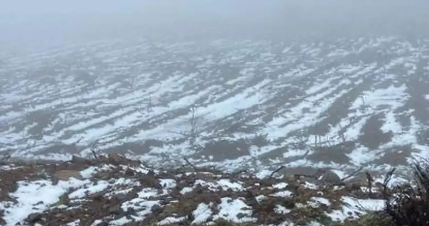 Seis distritos em aviso laranja para a queda de neve