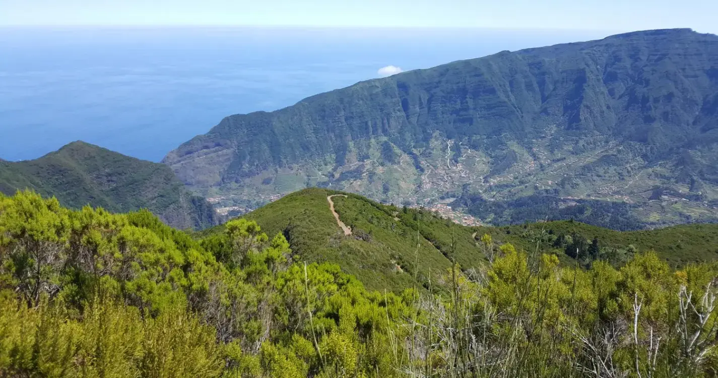 Cerimónia assinala encerramento das comemorações dos 25 anos da Laurissilva como Património Mundial