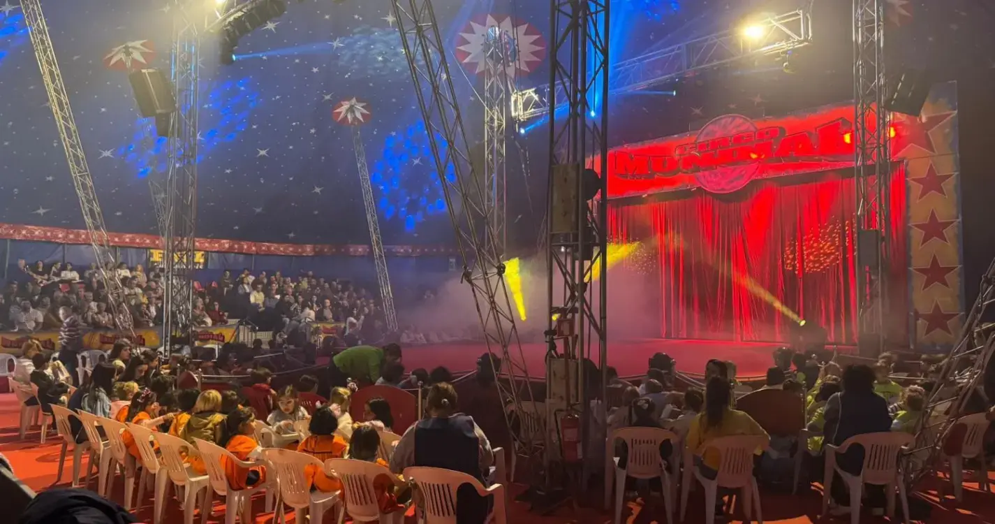 Circo solidário regressa com a Associação Sem Limites