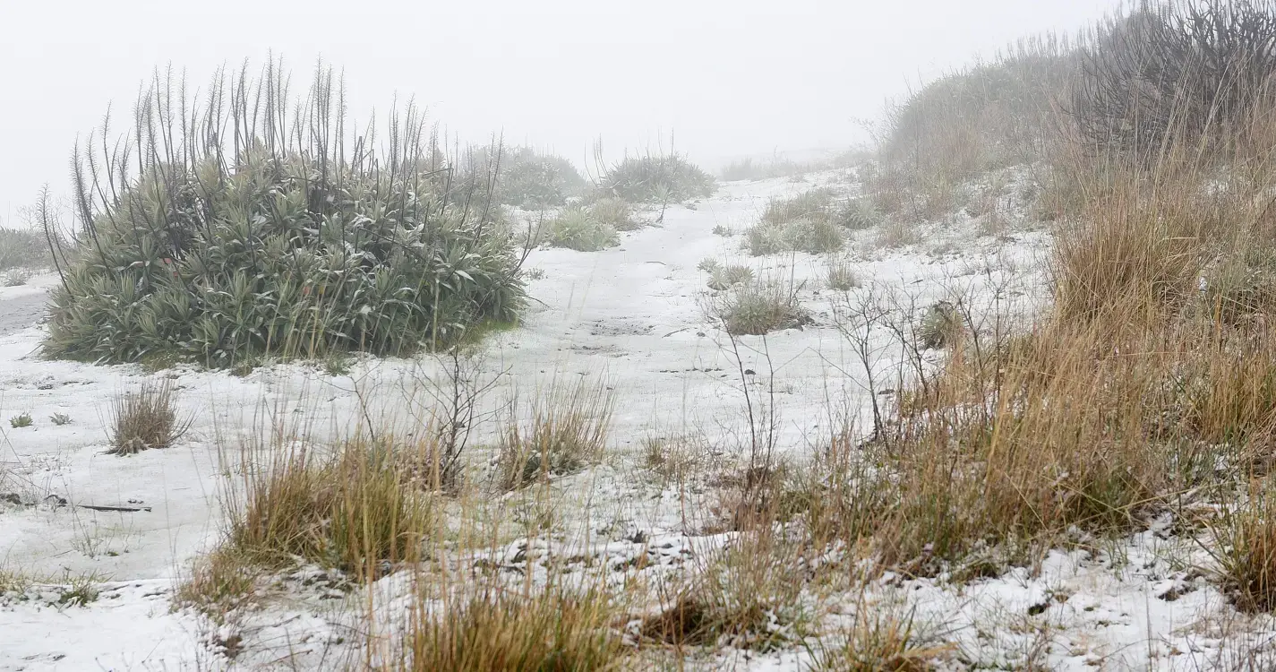 Quinze distritos sob avisos devido à neve, vento e agitação marítima