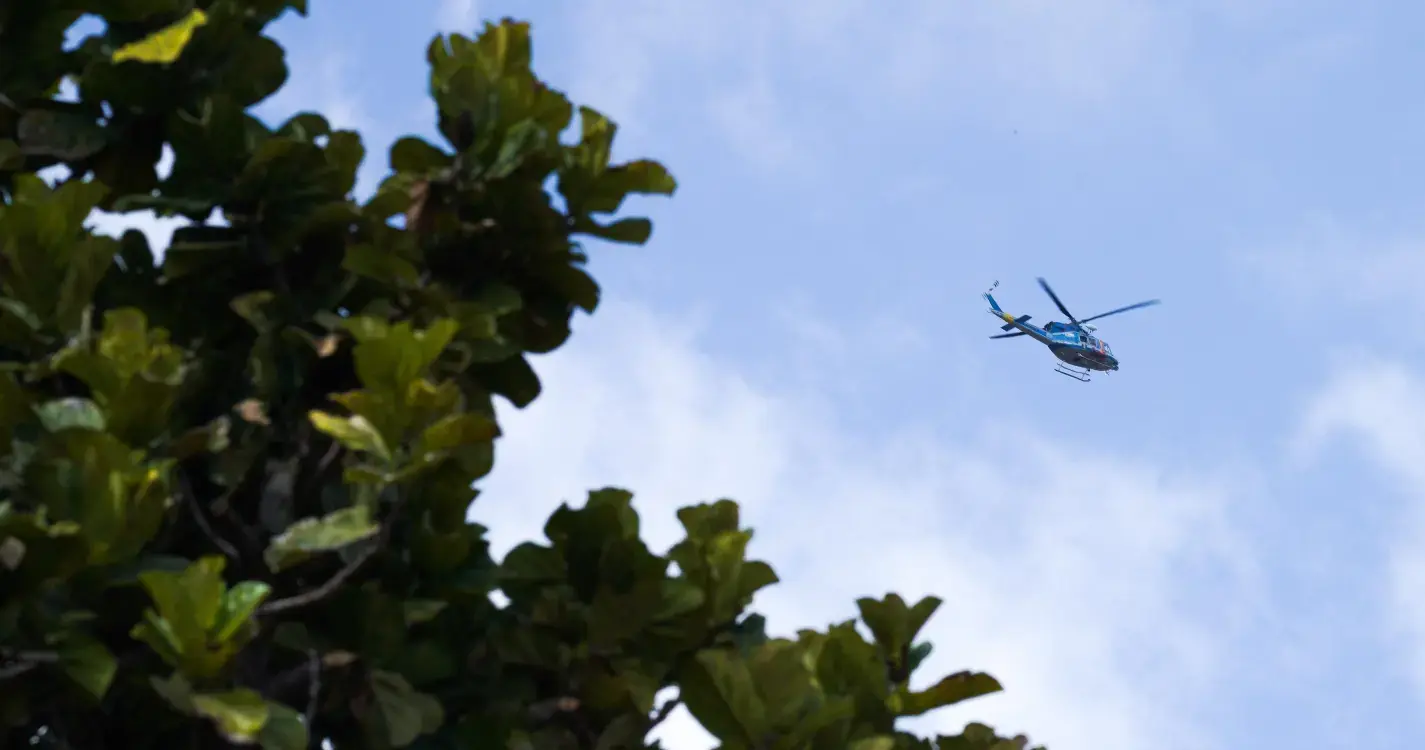 Incêndio em Santana mobiliza meio aéreo e 2 corporações