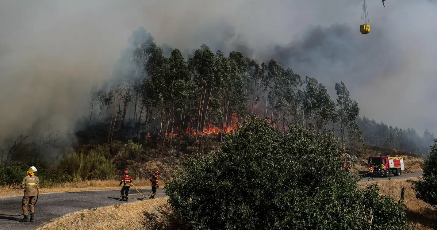 Incêndios: Mais de 80 concelhos em perigo máximo
