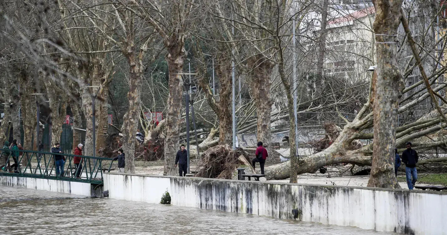 Soure com prejuízos de 25 milhões de euros