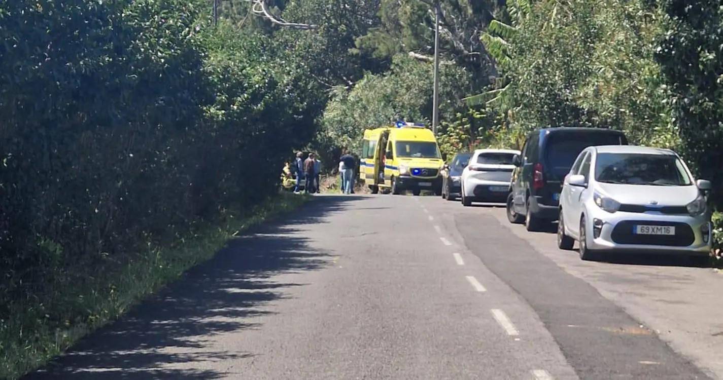 Suspeito de matar a mãe tentou escapar às autoridades mas acabou por ficar ferido na fuga