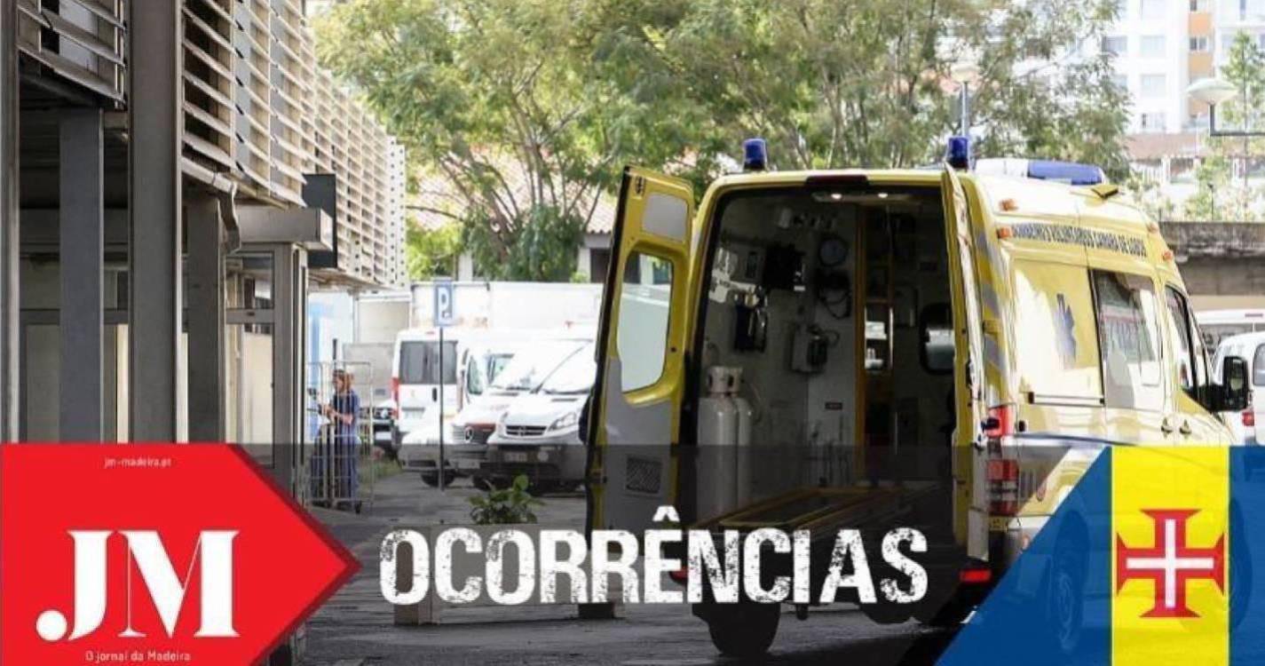 Pitbull ataca donos em São Gonçalo e acaba abatido pela PSP