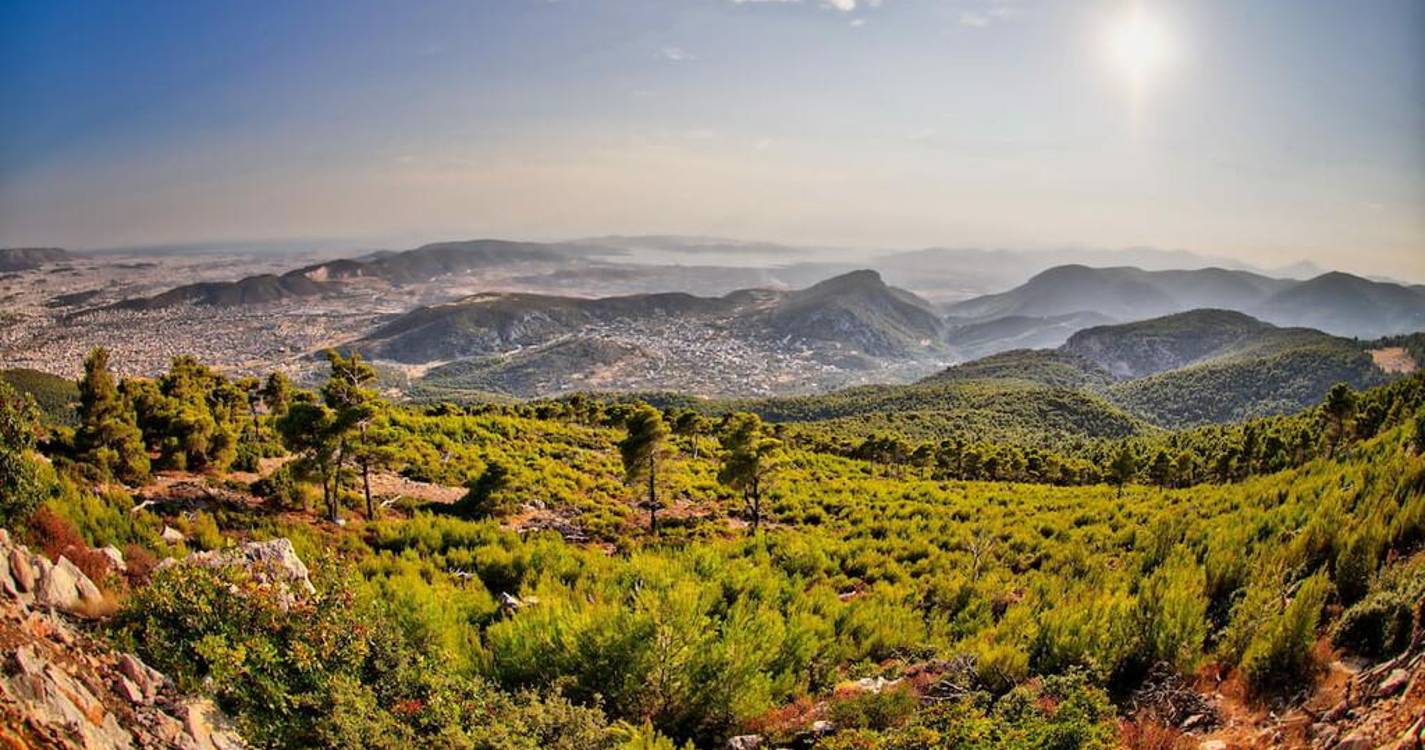 Incêndio florestal perto de Atenas e risco muito elevado em 6 regiões gregas