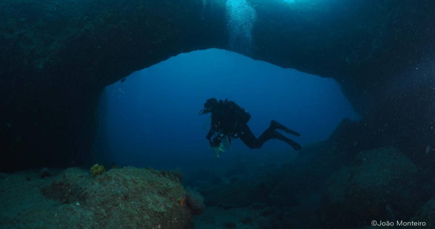 MARE-Madeira reforça proteção marinha com projeto europeu SEAMPHONI
