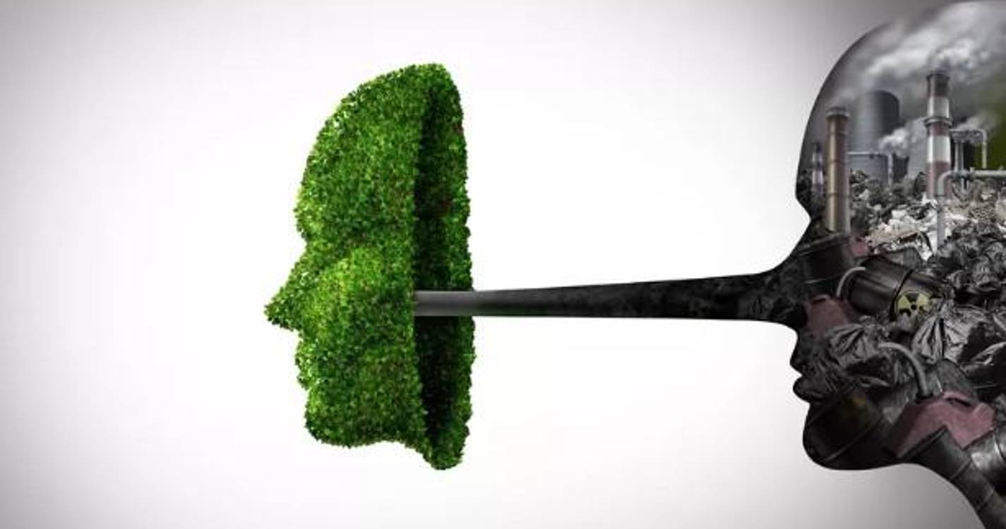 Estudo revela que portugueses abandonam marcas que fingem ser sustentáveis