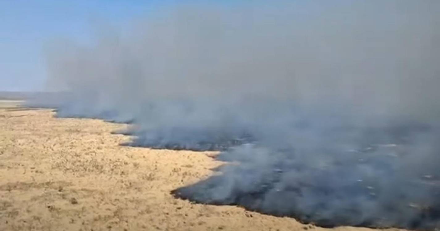 Incêndio que destruiu um terço de parque nacional na Namíbia contido