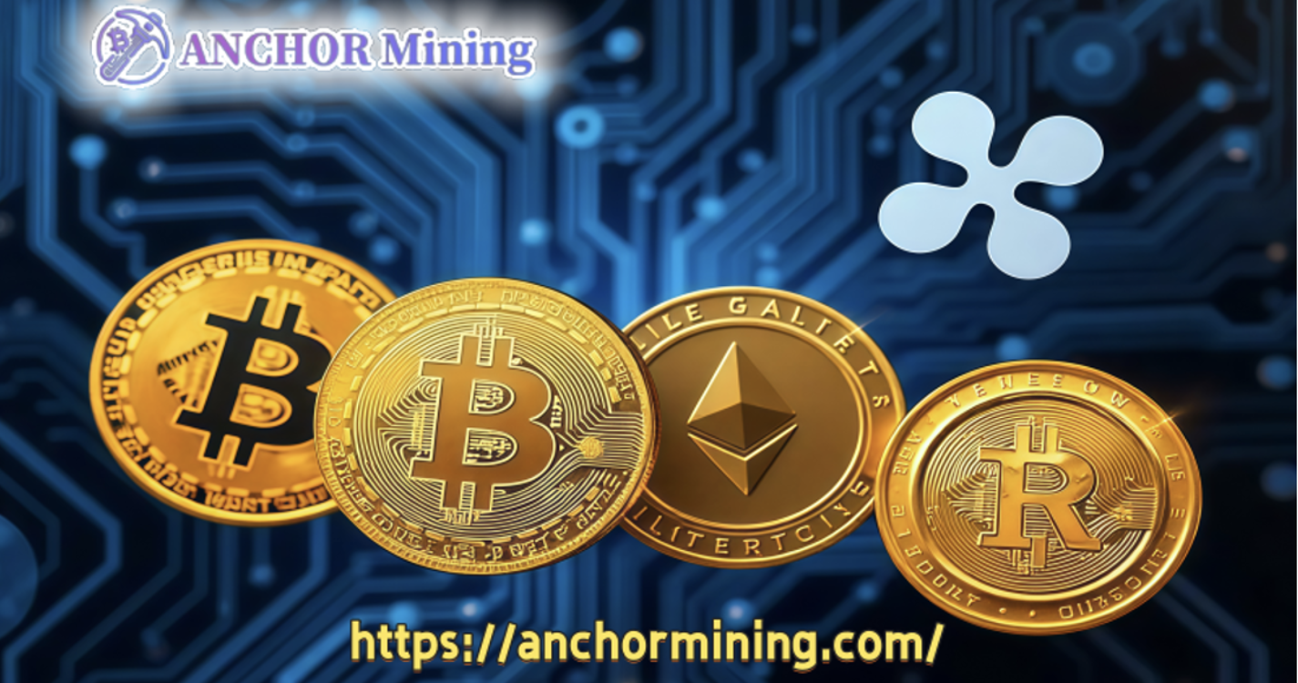 Investigação no local revela: Por que cada vez mais pessoas estão ganhando US$ 2.000 por dia usando a mineração por âncora?