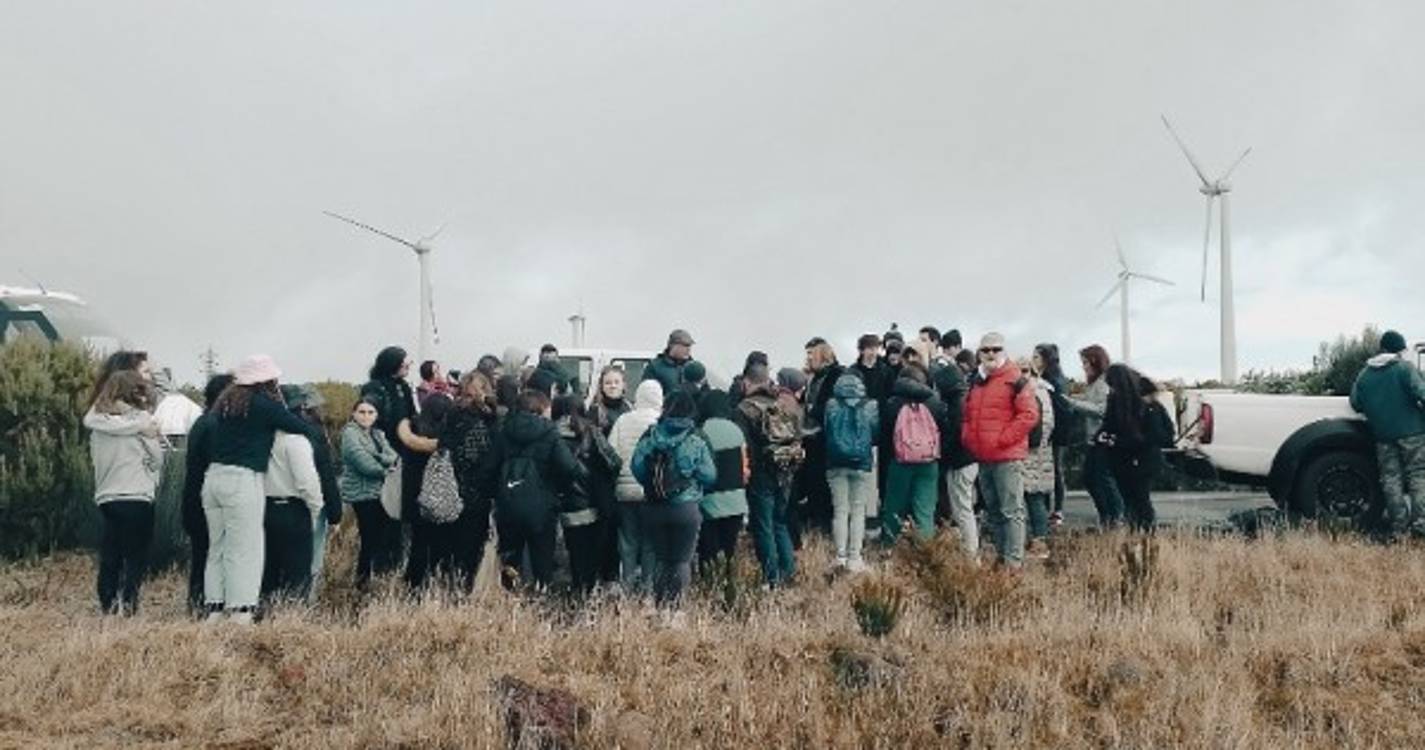 54 alunos e 9 professores plantaram hoje 100 endémicas no Paul da Serra