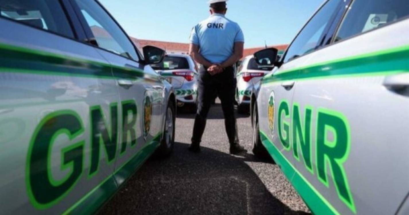 Apreendidos 434 quilos de alfarroba no Algarve - GNR