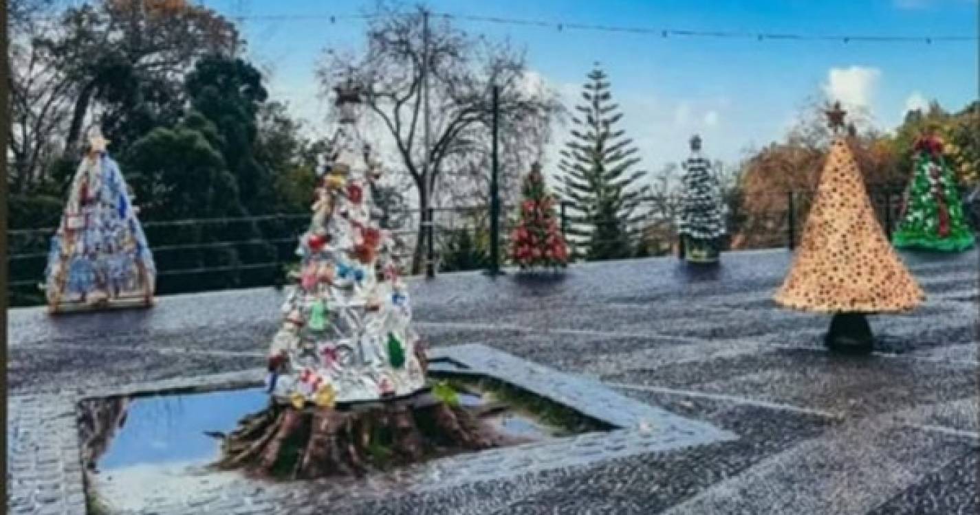 Árvores de Natal Ecológicas dão cor ao Largo da Fonte