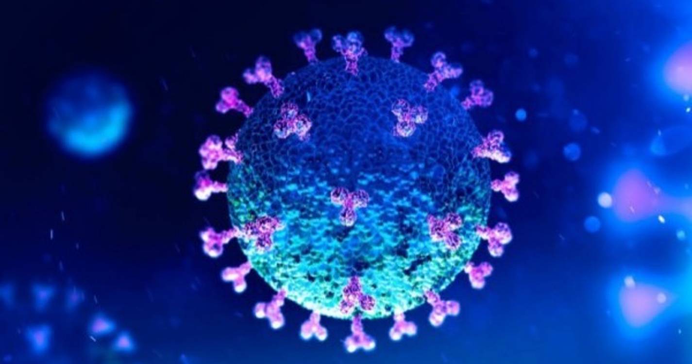 Covid-19: Mais 38.136 infeções e 33 mortes em Portugal