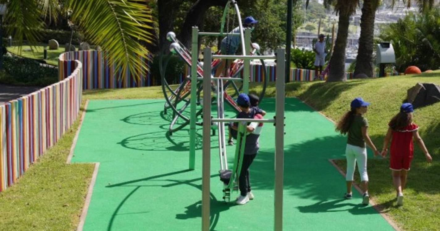 Estudo revela que crianças que vivem em zonas com mais vegetação têm menos sensibilidade alérgica