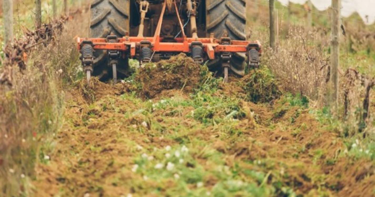 Despiste de trator provoca um morto na Covilhã