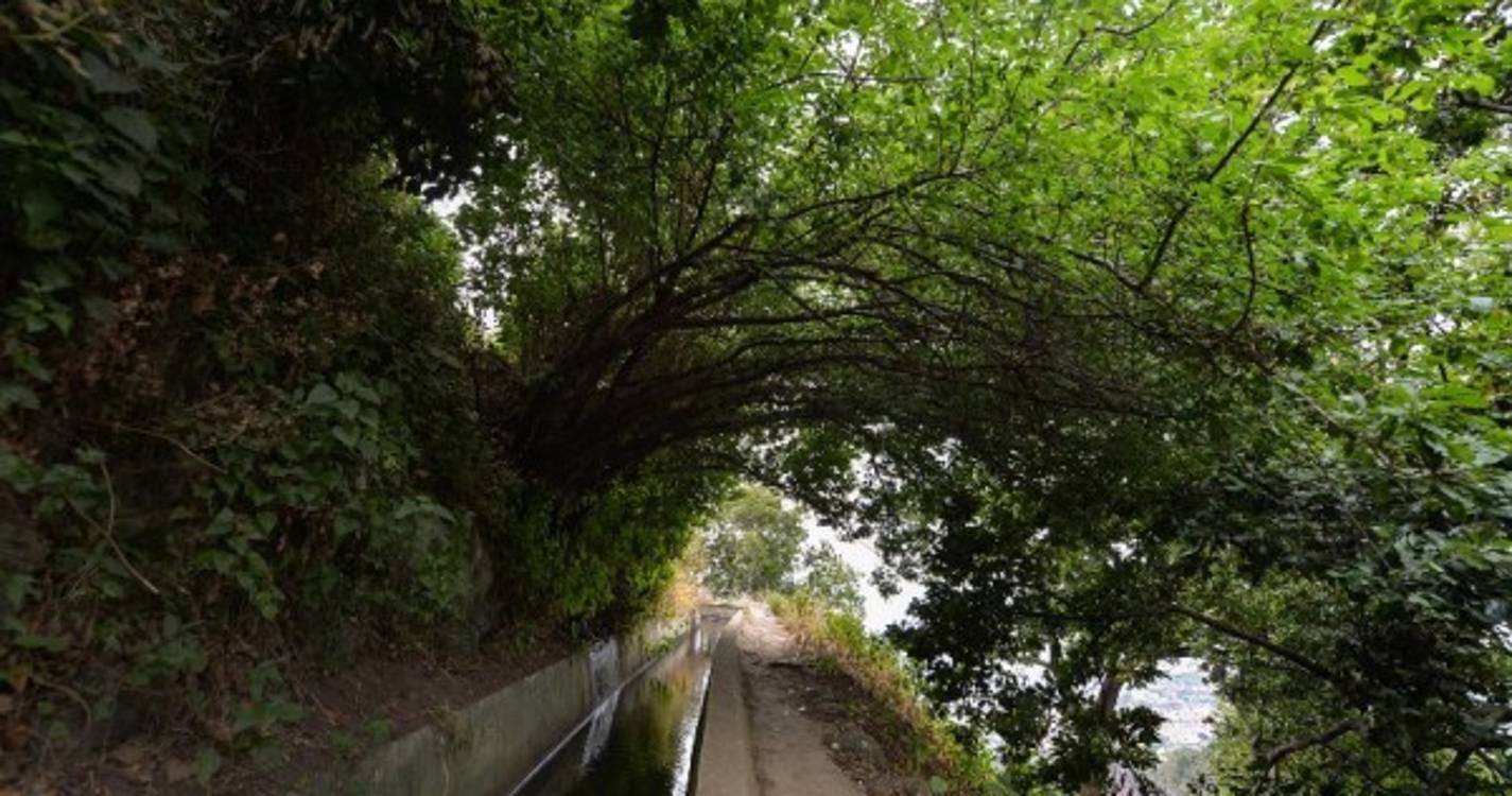 Viajante australiano partilha com o mundo as 25 melhores levadas da Madeira