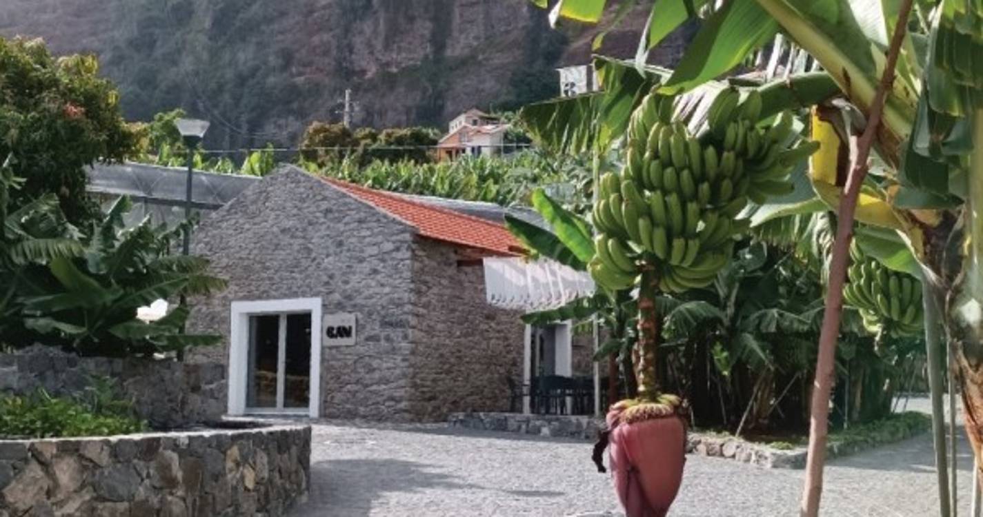 PSD congratula BAM pela distinção atribuída pela APOM