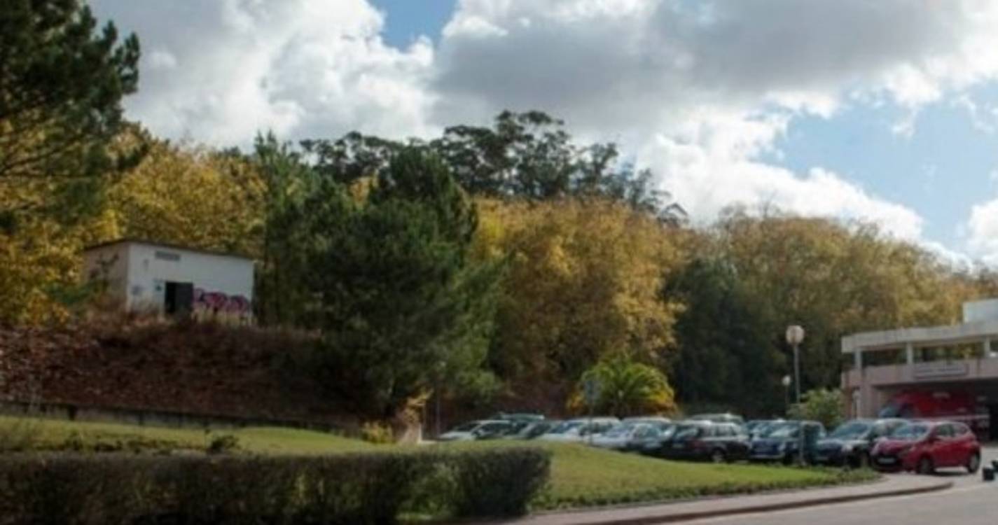 IGAS recomenda processo a médica que assistiu grávida que perdeu bebé nas Caldas da Rainha