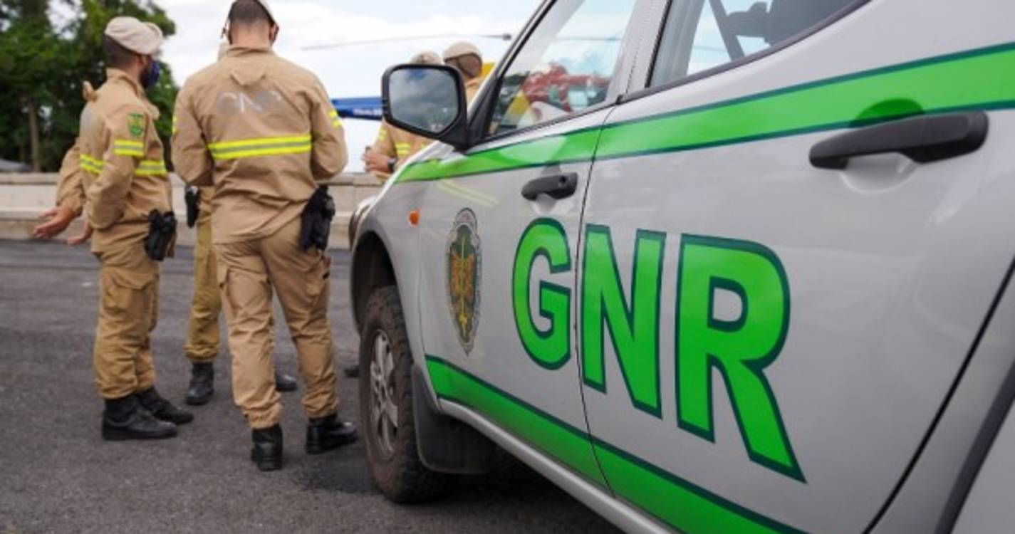 Covid-19: GNR encerra festa ilegal com 300 pessoas em Alcochete