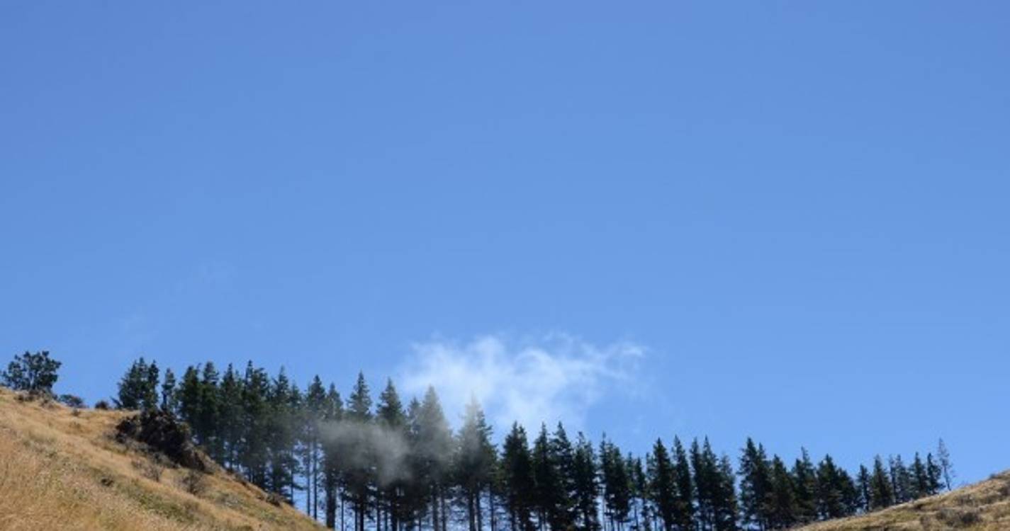 Parque Ecológico do Funchal tem novo percurso entre a Ribeira das Cales e a Levada do Barreiro