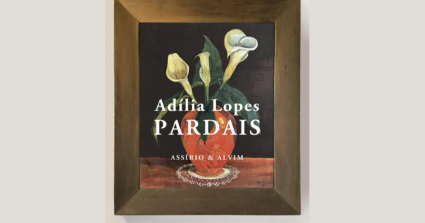 Escritora Adília Lopes regressa às "reflexões do quotidiano" no novo livro 'Pardais'